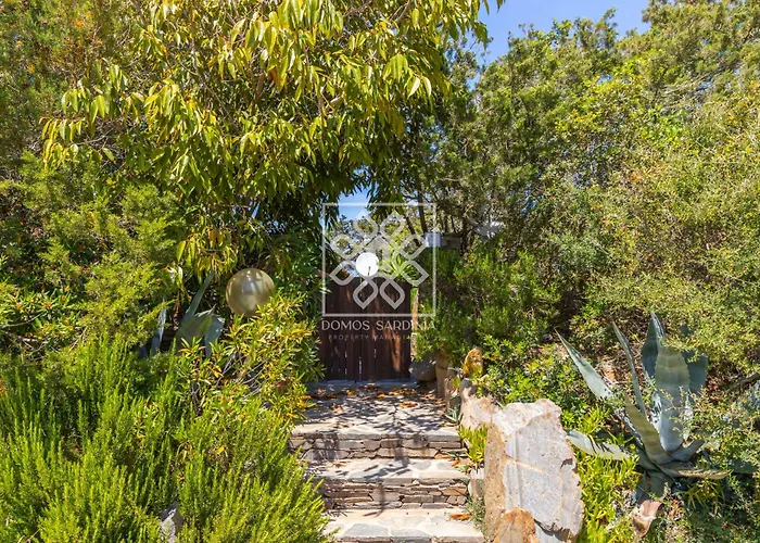 Villa Con Vista Giardino Villa Stintino