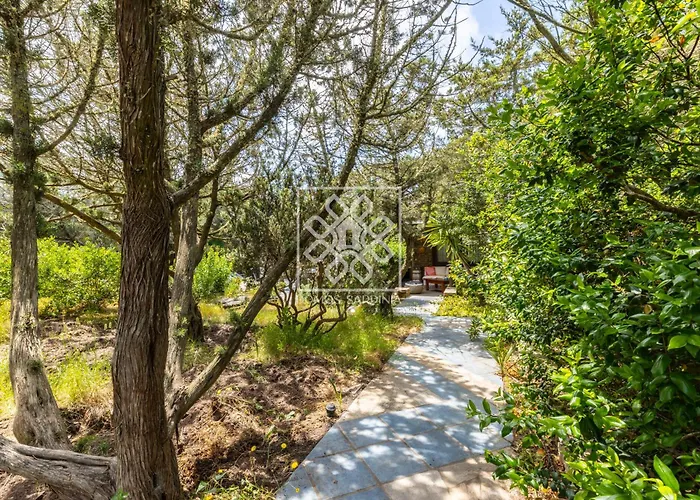 Villa Con Vista Giardino Villa